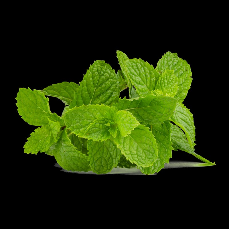 Mint